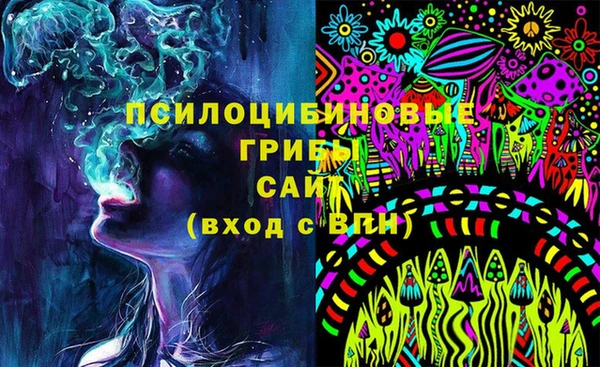 индика Волосово